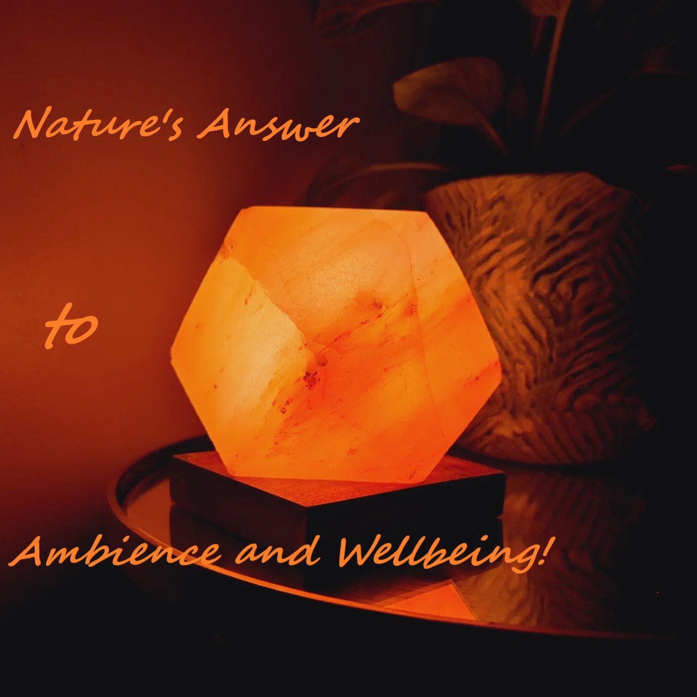 Himalayan Salt Lamps – Nature’s Answer to Ambience and Wellbeing