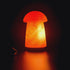 Himalayan Salt Crystal Lamps (Angel, Cross, Mushroom, Heart Lamp )