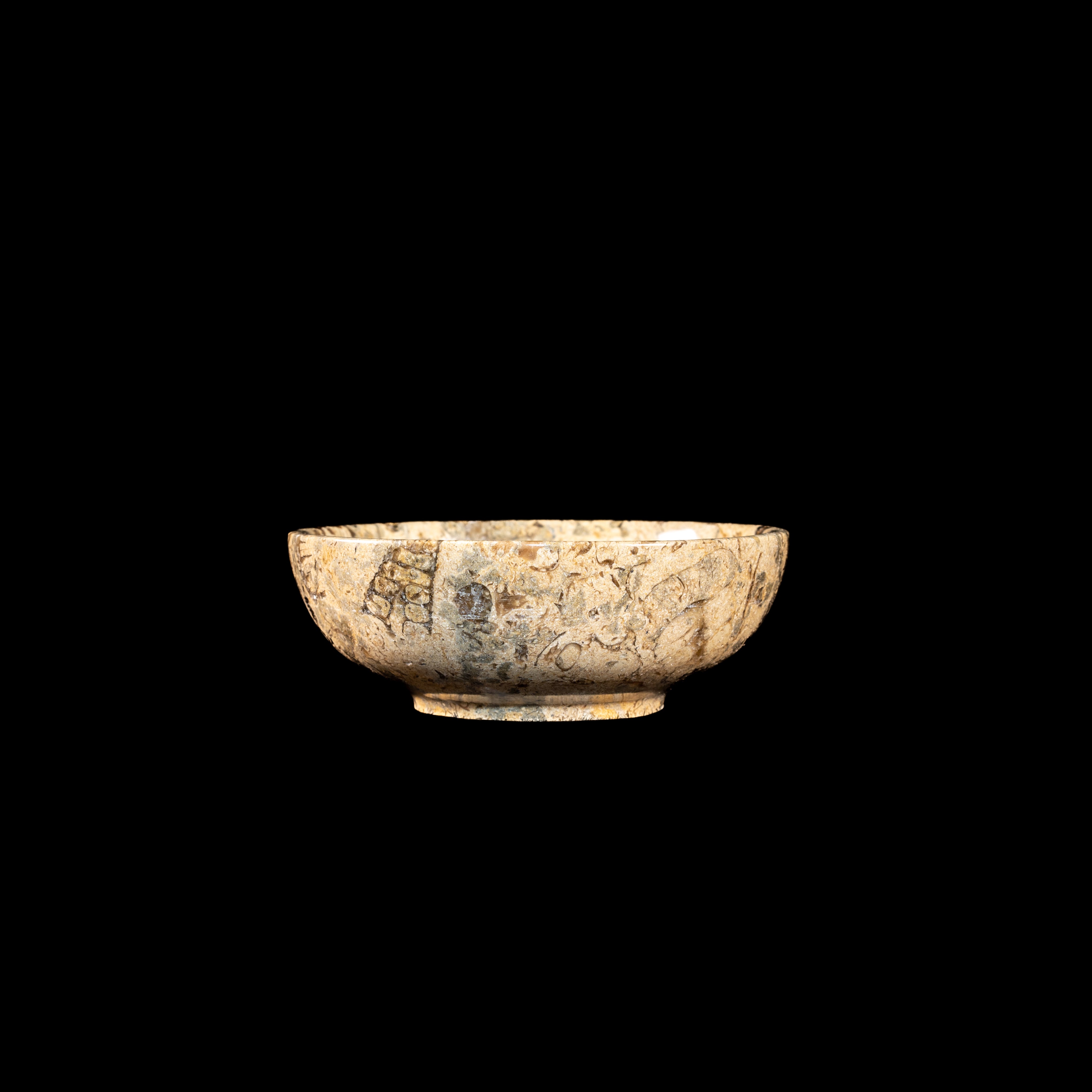 Fossil/Coral Bowl - Marble Bowl (Multiple sizes)