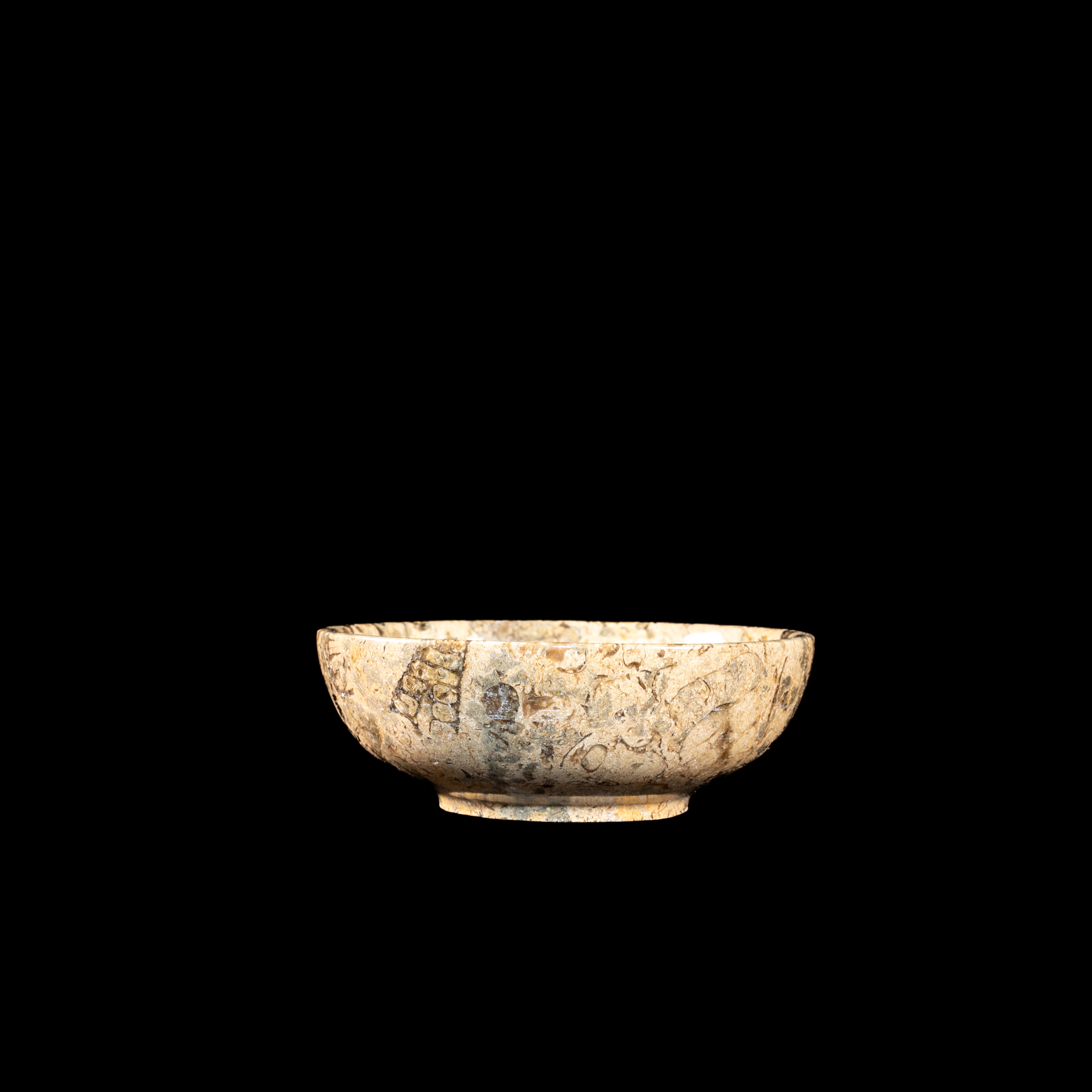 Fossil/Coral Bowl - Marble Bowl (Multiple sizes)